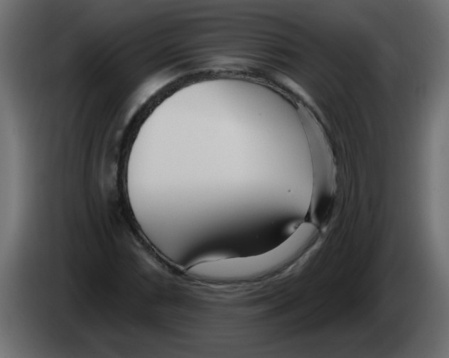X0000082981066200703020251