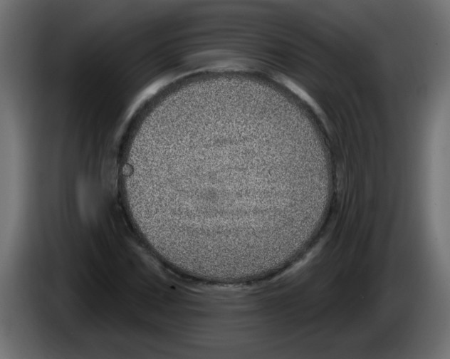 X0000082981067200703020251