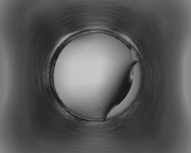 X0000082981068200703020251