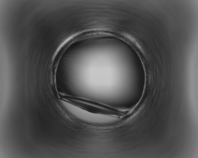 X0000082981069200703020251