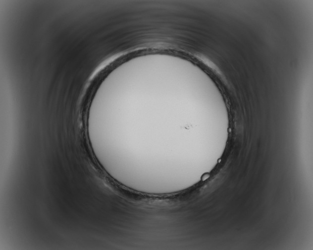 X0000082981070200703020251