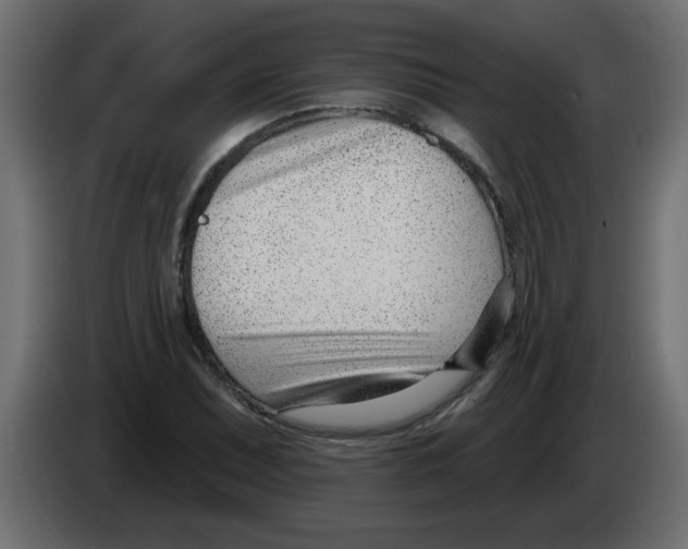 X0000082981071200703020251