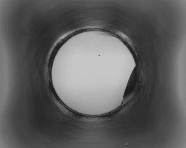 X0000082981072200703020251