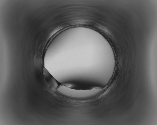 X0000082981073200703020251