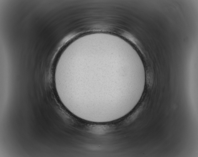 X0000082981074200703020251
