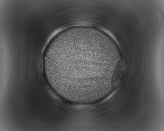 X0000082981075200703020251