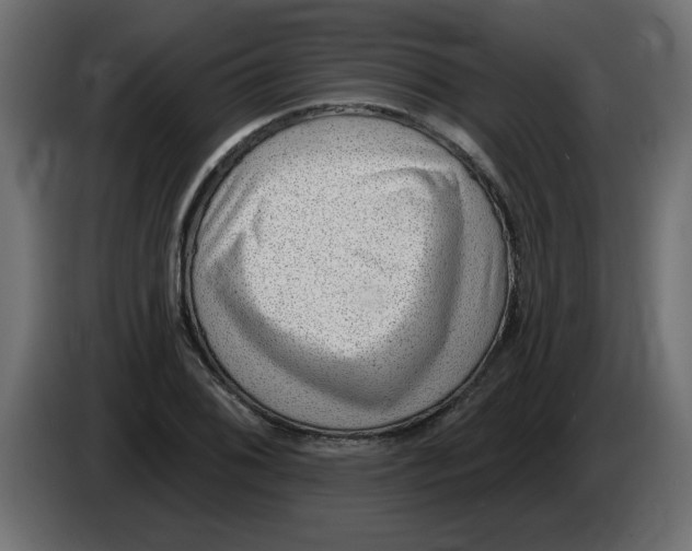 X0000082981076200703020251