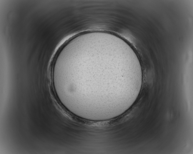 X0000082981078200703020251