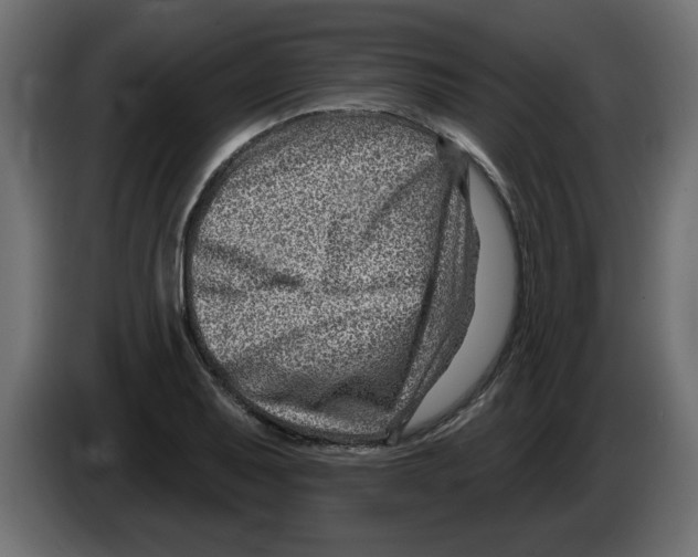 X0000082981079200703020251