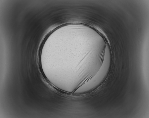 X0000082981080200703020251