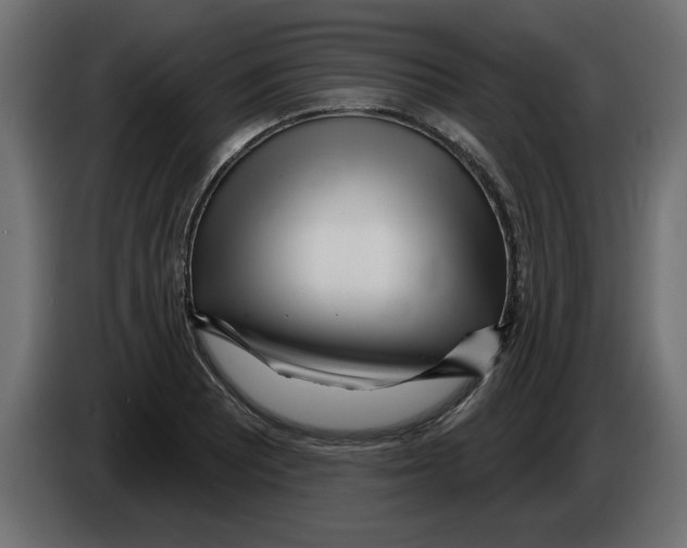 X0000082981081200703020251