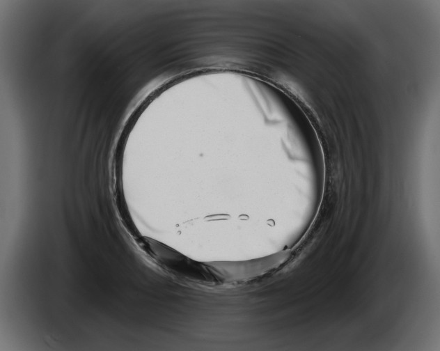 X0000082981082200703020251