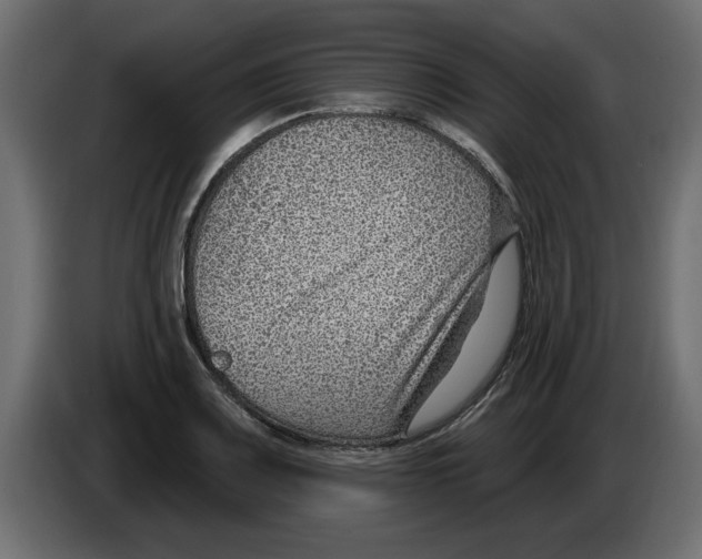 X0000082981083200703020251