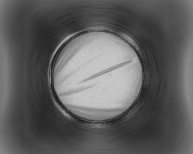 X0000082981084200703020251