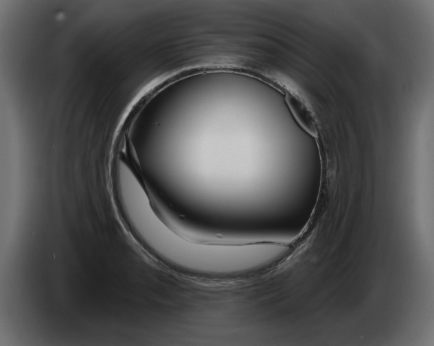 X0000082981085200703020251
