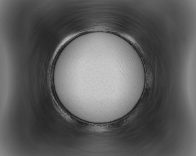 X0000082981086200703020251