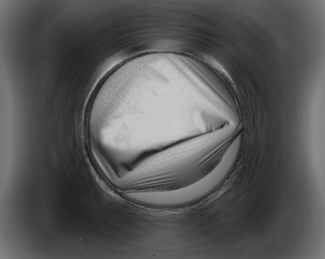 X0000082981087200703020251