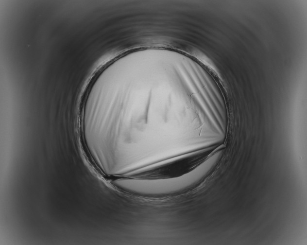 X0000082981088200703020251