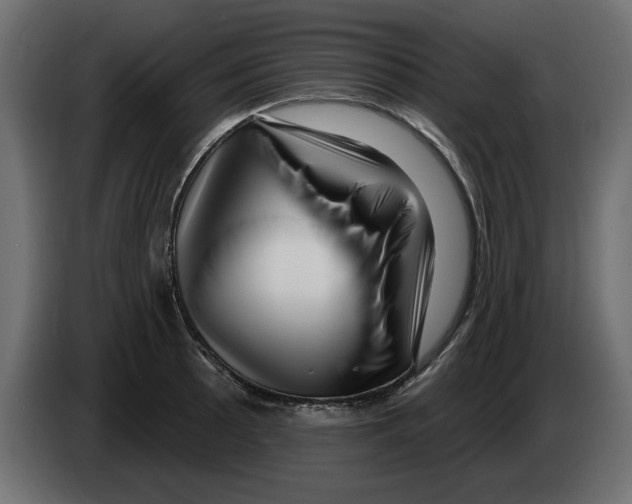 X0000082981089200703020251