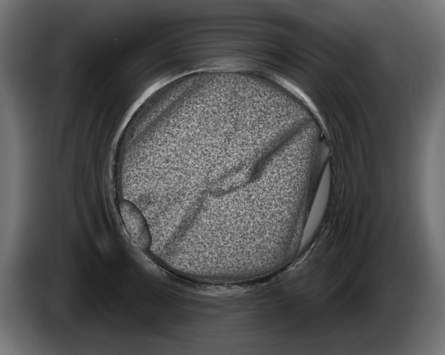 X0000082981091200703020251