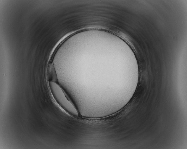 X0000082981092200703020251