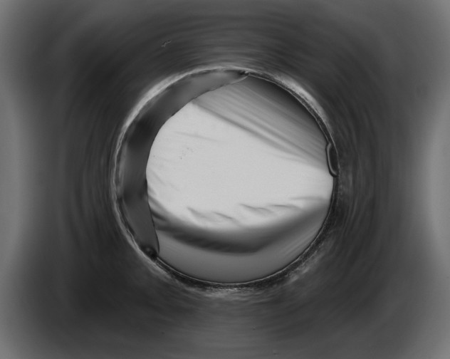 X0000082981093200703020251