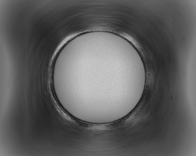 X0000082981094200703020251