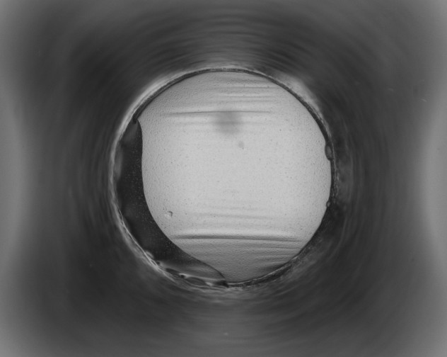 X0000082981096200703020251