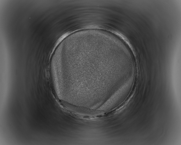X0000082981097200703020251