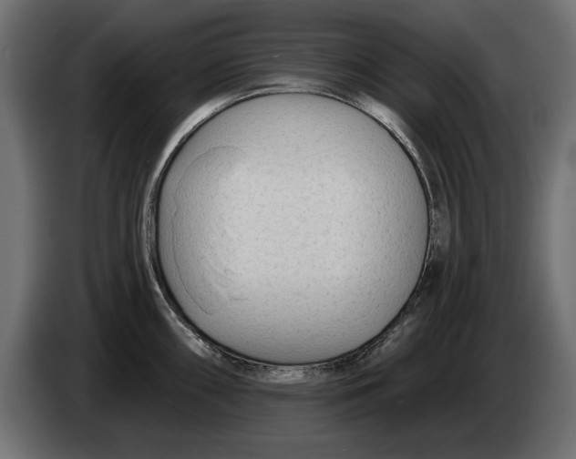 X0000082981098200703020251