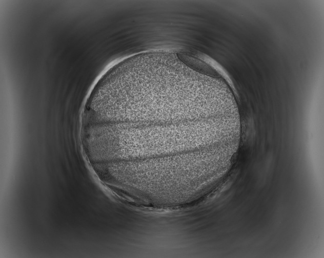 X0000082981099200703020251
