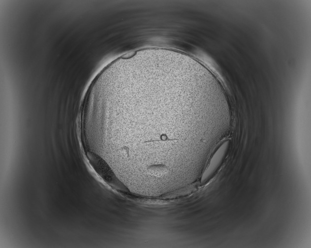 X0000082981100200703020251