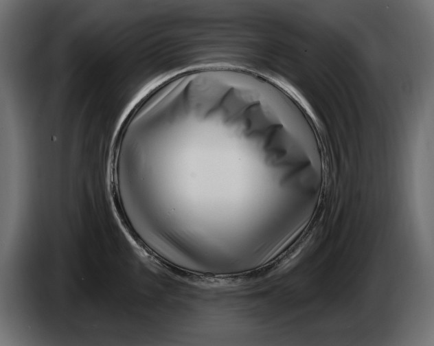 X0000082981101200703020251