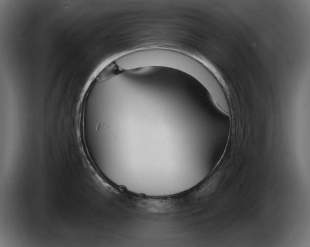 X0000082981102200703020251