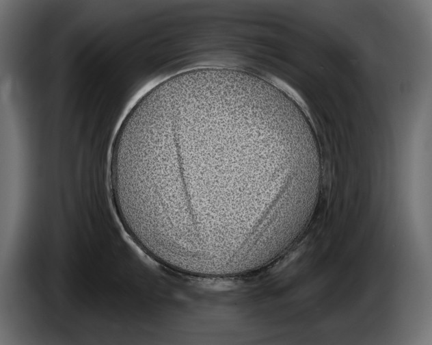 X0000082981103200703020251