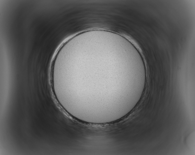 X0000082981104200703020251