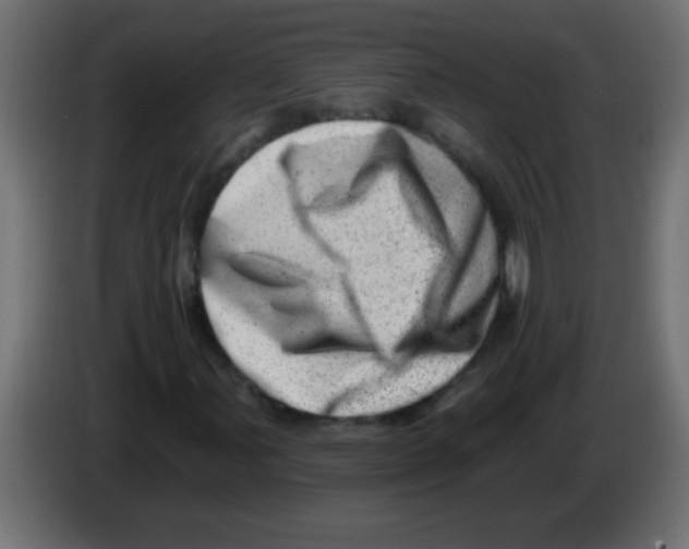 X0000082981107200703020250