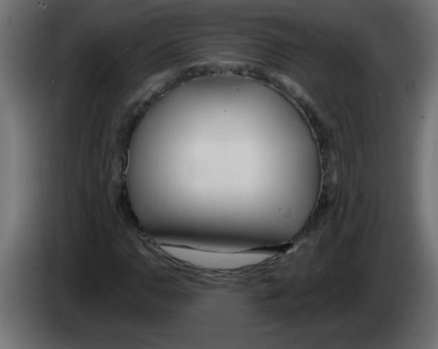 X0000082981110200703020250