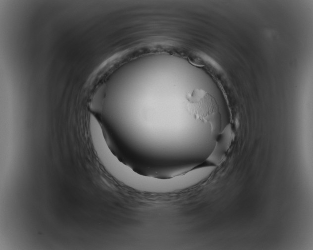 X0000082981112200703020250