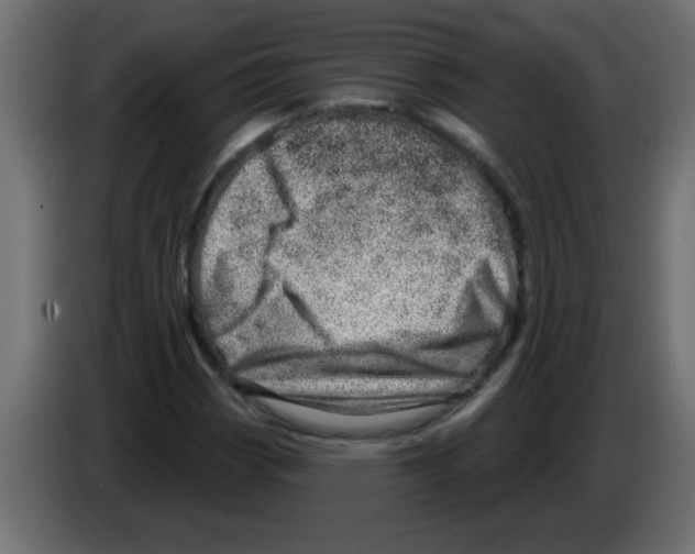 X0000082981113200703020250