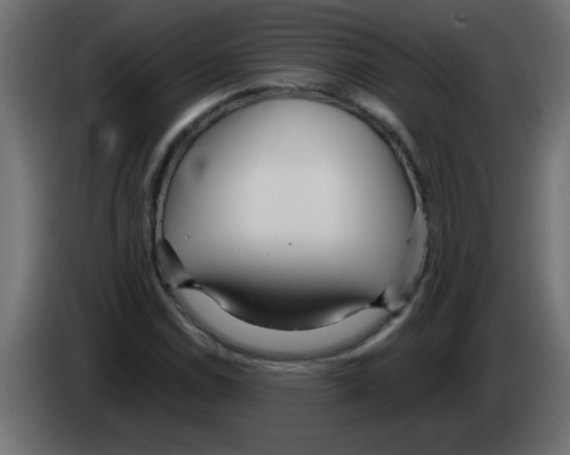 X0000082981114200703020250