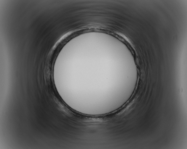 X0000082981115200703020250