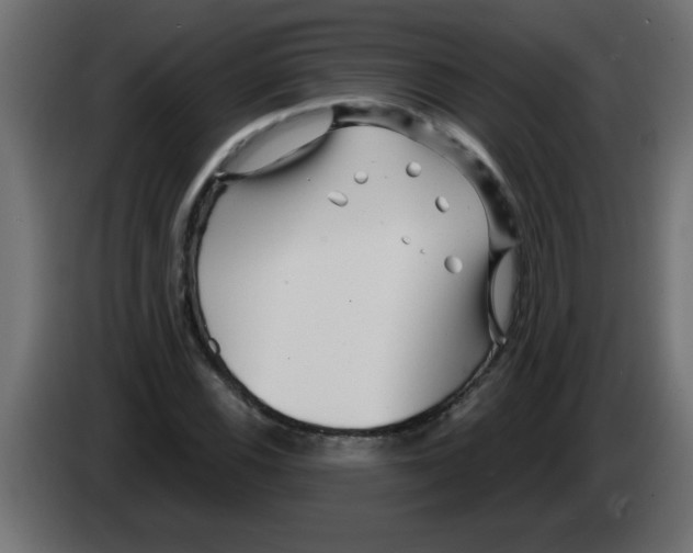 X0000082981116200703020250