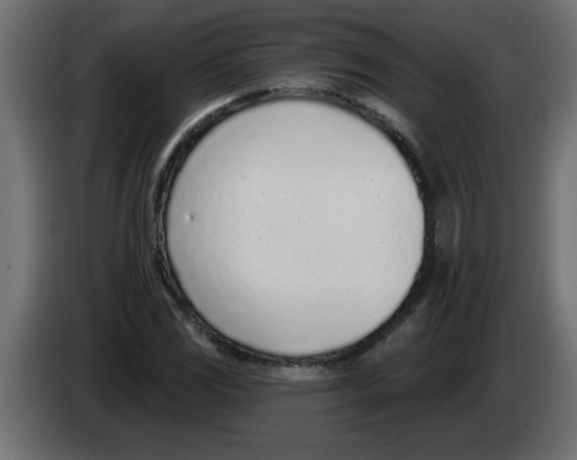 X0000082981117200703020250