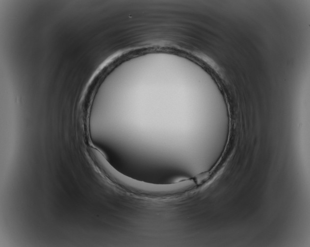 X0000082981118200703020250