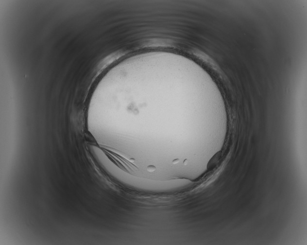 X0000082981121200703020250