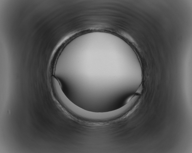X0000082981122200703020251