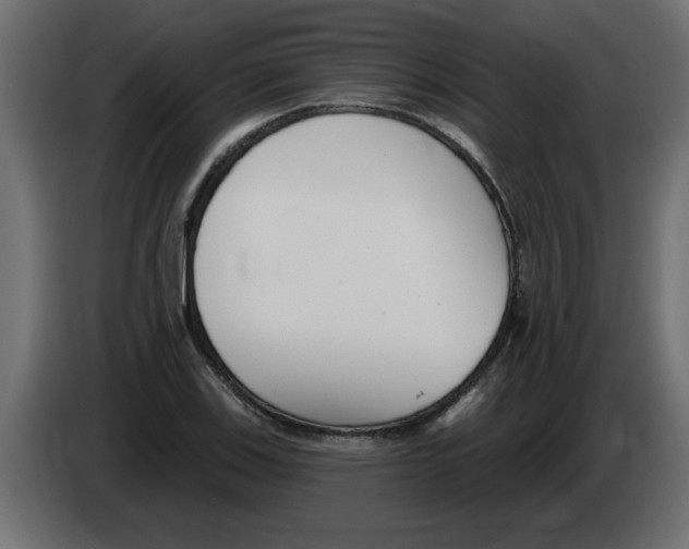 X0000082981123200703020251