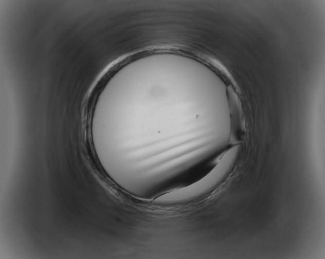 X0000082981124200703020251