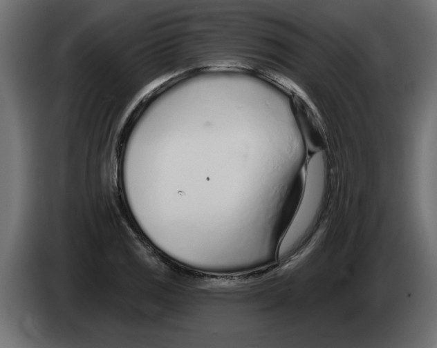 X0000082981125200703020251